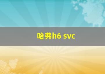 哈弗h6 svc